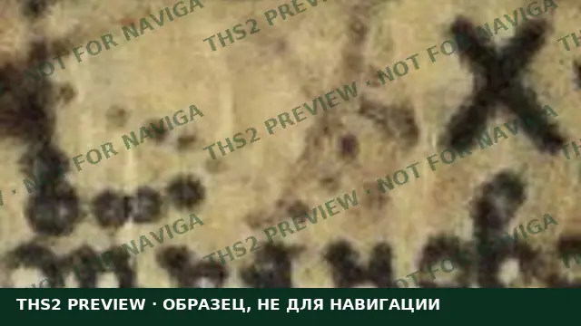 Образец карты с водяным знаком